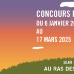 JACES 2025 : concours photo « Au ras des pâquerettes »