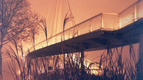 De la Matière à l&rsquo;Abstraction (exposition) – Remus Marasescu