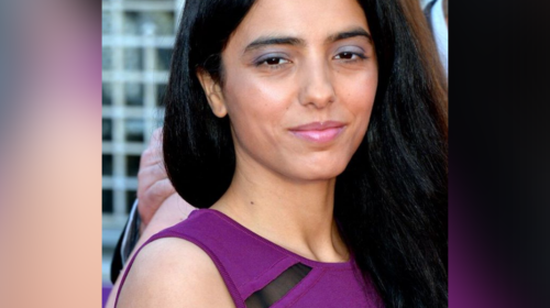 Hafsia Herzi, nouvelle présidente de l&rsquo;IECA