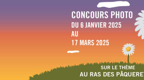 JACES 2025 : concours photo « Au ras des pâquerettes »